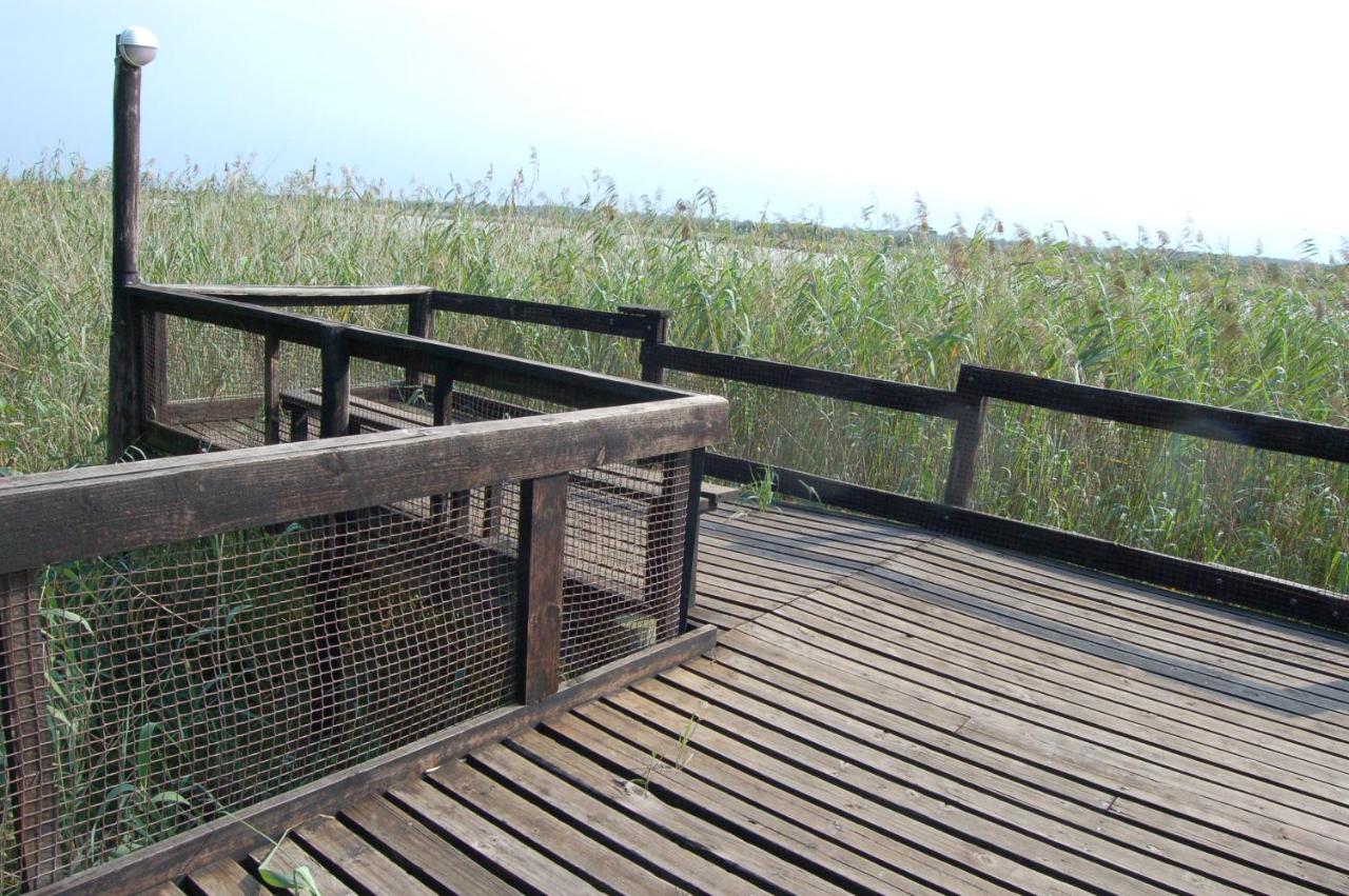 דירות Saint Lucia Estuary 28 And 29 The Bridge מראה חיצוני תמונה