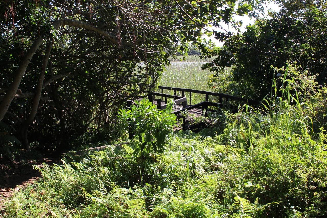 דירות Saint Lucia Estuary 28 And 29 The Bridge מראה חיצוני תמונה